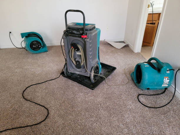 Best Professional water damage repair  in Canton Valley, CT