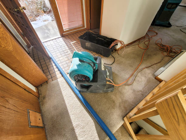 Best Water damage cleanup near me  in Canton Valley, CT