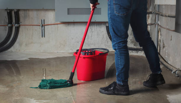 Best Fire Damage Restoration  in Canton Valley, CT