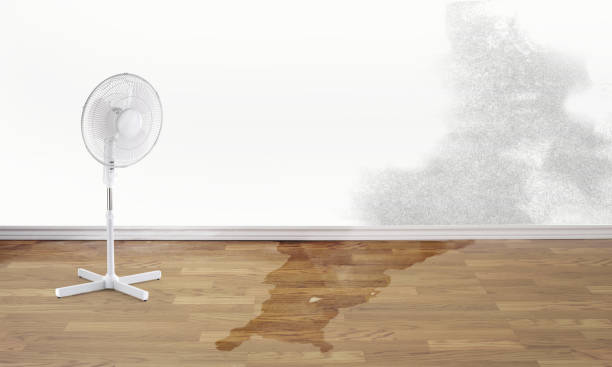 Best Water damage restoration near me  in Canton Valley, CT