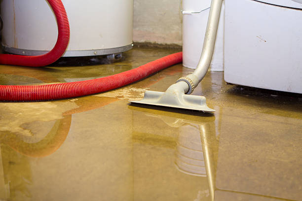 Trusted Canton Valley, CT Water damage restoration Experts
